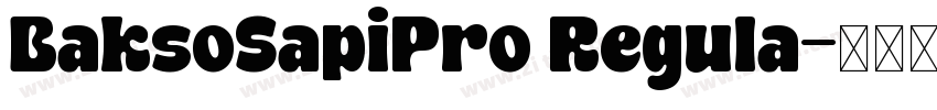 BaksoSapiPro Regula字体转换